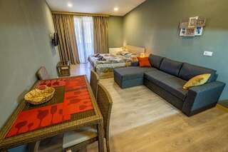 Апарт-отели The Valley Resort 505 Бакуриани-2