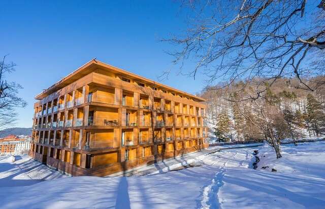 Апарт-отели The Valley Resort 505 Бакуриани-17
