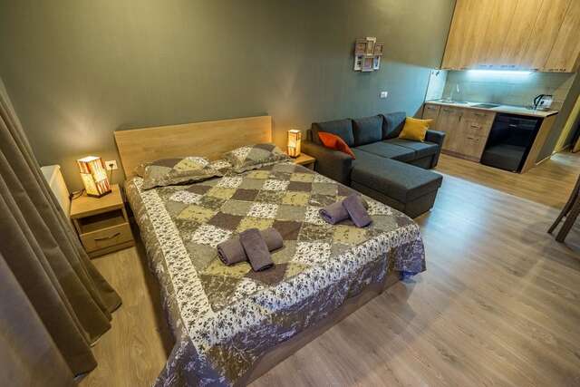 Апарт-отели The Valley Resort 505 Бакуриани-11